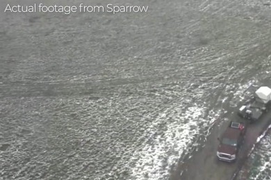 Percepto Sparrow